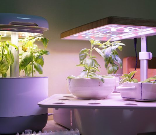 Современные технологии, которые упростят труд цветовода - Комнатные растения Современные технологии, которые упростят труд цветовода