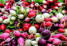 4 недооцененных корнеплода — чем хороши репа, редька, редис и брюква.