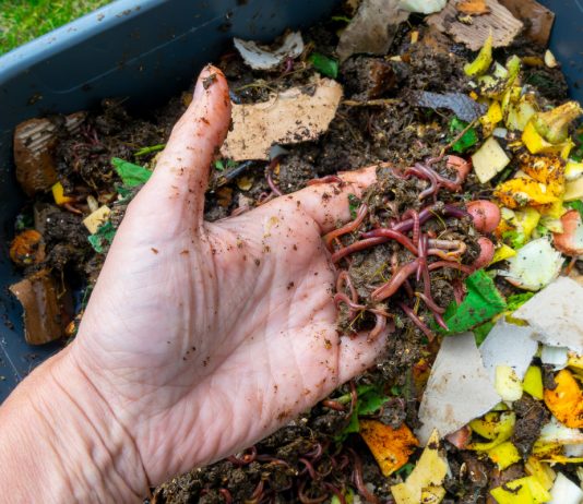 Компактный домашний компостер своими руками — удобрения круглый год