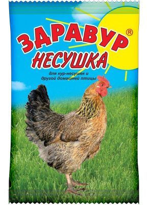 Для поддержания иммунитета и общего укрепления организма курочек в их рацион стоит включить кормовую добавку Здравур Несушка. Для поддержания иммунитета и общего укрепления организма курочек в их рацион стоит включить кормовую добавку Здравур Несушка.