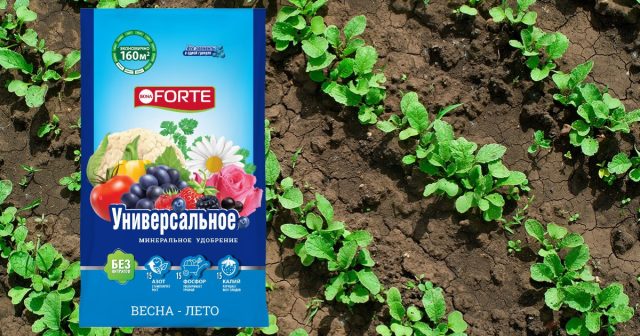 Удобрение Универсальное Bona Forte Весна-Лето. Удобрение Универсальное Bona Forte Весна-Лето.