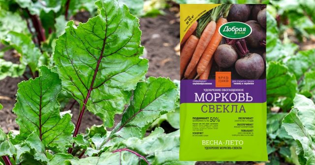 Внесите под перекопку гряд 70-100 г на квадратный метр удобрения Морковь-Свекла Добрая сила. Внесите под перекопку гряд 70-100 г на квадратный метр удобрения Морковь-Свекла Добрая сила.