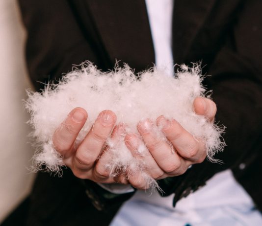 Дополнительный доход: как собрать и обработать гусиный пух и перо.