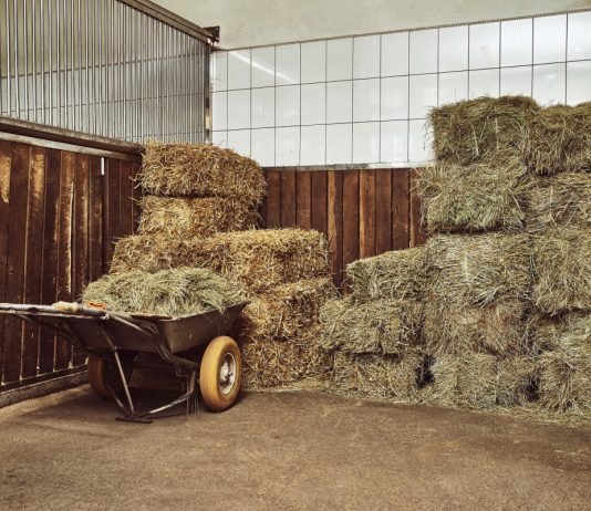 Как выбрать хорошее сено на зиму и не ошибиться.