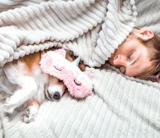 Почему собака не должна спать на кровати? Неоднозначный вопрос - Животные Почему собака не должна спать на кровати? Неоднозначный вопрос.