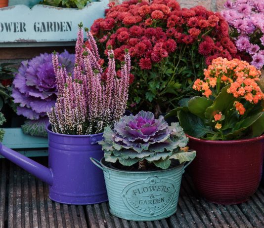 16 идей нарядной осенней композиции в кашпо для веранды и квартиры - Своими руками 16 идей нарядной осенней композиции в кашпо для веранды и квартиры.