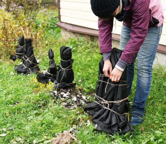 Надежные варианты зимних укрытий из личного опыта — памятка для всех регионов.