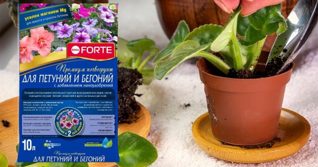 Bona Forte премиум почвогрунт для петуний, бегоний, пеларгоний и других ампельных. Bona Forte премиум почвогрунт для петуний, бегоний, пеларгоний и других ампельных.