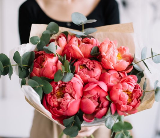 Тайны пионов: что скрывают популярные садовые цветы - Цветы многолетние Тайны пионов: что скрывают популярные садовые цветы.