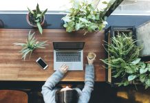 9 причин почему в офисе должны быть растения.