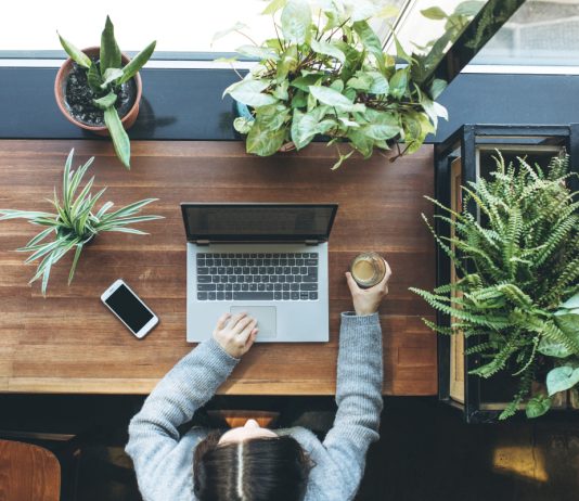 9 причин почему в офисе должны быть растения - Комнатные растения 9 причин почему в офисе должны быть растения.