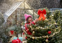 Из чего состоит красота снежного сада — советы ландшафтного дизайнера.