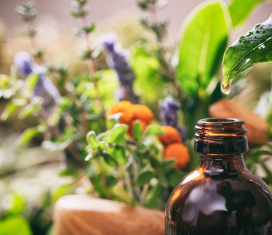 Польза от эфирных масел в саду и дома — от дезинфекции до защиты растений - Комнатные растения Польза от эфирных масел в саду и дома — от дезинфекции до защиты растений.