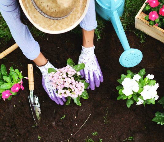 11 самых частых ошибок при создании цветника - Цветы многолетние 11 самых частых ошибок при создании цветника.