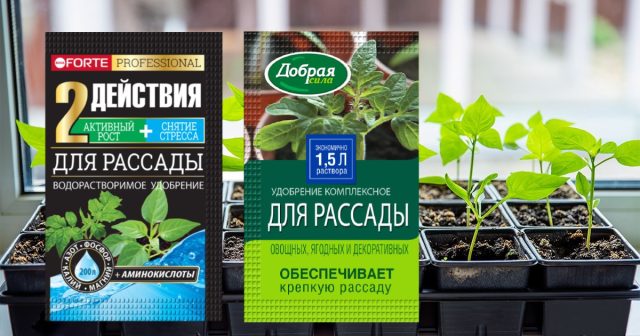 Одновременно с поливами вносятся жидкие или водорастворимые удобрения для рассады – ОМУ Добрая сила с гуматами или Bona Forte с аминокислотами. Одновременно с поливами вносятся жидкие или водорастворимые удобрения для рассады – ОМУ Добрая сила с гуматами или Bona Forte с аминокислотами.