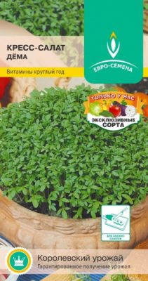 Кресс-салат “Дёма”. Скороспелый нетребовательный сорт. Кресс-салат “Дёма”. Скороспелый нетребовательный сорт.
