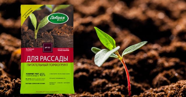 В питательный торфогрунт Добрая сила для рассады добавляется доломитовая мука (как раскислитель) и комплексное удобрение с макро- и микроэлементами, витаминами. В питательный торфогрунт Добрая сила для рассады добавляется доломитовая мука (как раскислитель) и комплексное удобрение с макро- и микроэлементами, витаминами.