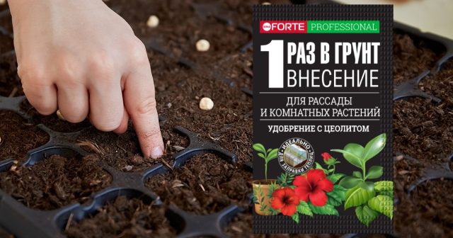 Ещё один комплекс для сеянцев – наноудобрение для комнатных растений, рассады, теплиц и грядок Bona Forte. Ещё один комплекс для сеянцев – наноудобрение для комнатных растений, рассады, теплиц и грядок Bona Forte.