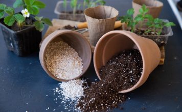 Перлит и вермикулит: чем отличаются и как их правильно использовать.