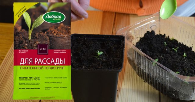 Помимо торфа в такие смеси должен дополнительно входить разрыхлитель. В питательном торфогрунте для рассады Добрая сила его функции выполняет чистый речной песок. Помимо торфа в такие смеси должен дополнительно входить разрыхлитель. В питательном торфогрунте для рассады Добрая сила его функции выполняет чистый речной песок.