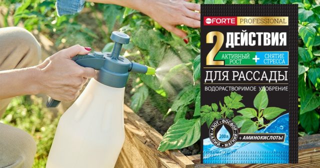 Для подкормки нужно взять водорастворимое удобрение для рассады с аминокислотами Bona Forte и внести его несколько раз. Для подкормки нужно взять водорастворимое удобрение для рассады с аминокислотами Bona Forte и внести его несколько раз.