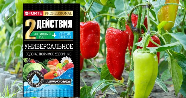 Например, водорастворимое удобрение для томатов и перцев Bona Forte с аминокислотами обеспечивает паслёновые нужными им элементами от цветения до уборки последних плодов. Например, водорастворимое удобрение для томатов и перцев Bona Forte с аминокислотами обеспечивает паслёновые нужными им элементами от цветения до уборки последних плодов.