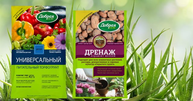 При пересадке на дно горшка обязательно укладывается слой дренажа не менее 1/4 высоты ёмкости, например, мелкий керамзит Добрая сила.