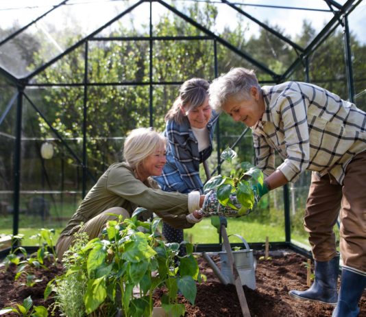 10 важных идей для садоводства в 2025 году.