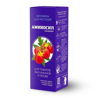 Применение витаминов для томатов в форме концентрата «Аминосил» не только защитит культуру от болезней, но и ускорит обменные процессы, сокращая время созревания плодов. Применение витаминов для томатов в форме концентрата «Аминосил» не только защитит культуру от болезней, но и ускорит обменные процессы, сокращая время созревания плодов.