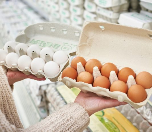 Можно ли вывести цыплят из магазинных яиц?