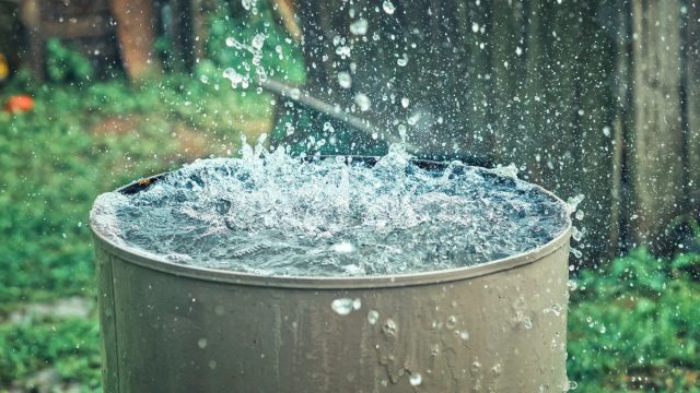 Экономия природных ресурсов, в том числе сбор и использование дождевой воды, продолжает сохранять актуальность. Экономия природных ресурсов, в том числе сбор и использование дождевой воды, продолжает сохранять актуальность.