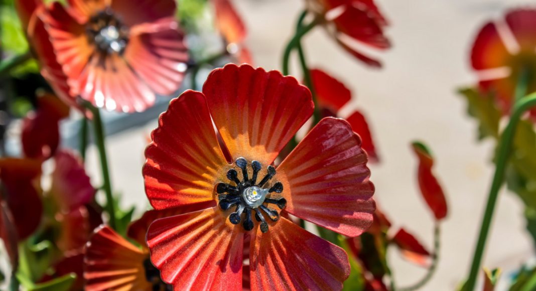 Антитренды ландшафтного дизайна: как делать не нужно.