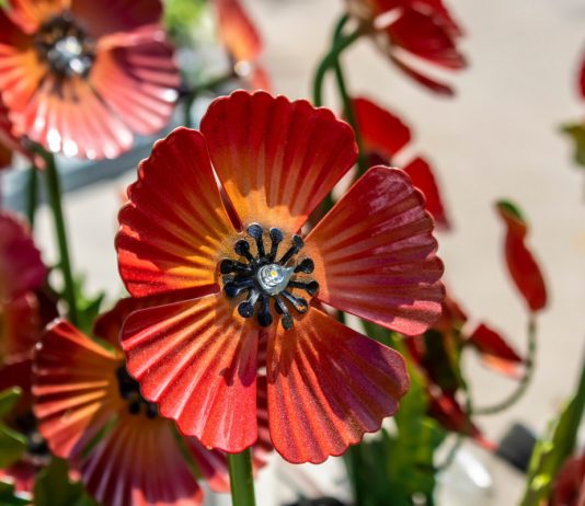 Антитренды ландшафтного дизайна: как делать не нужно.