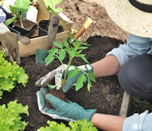 Что нельзя делать садоводам и огородникам в мае.