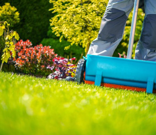 Главные советы по уходу за газоном — красивая лужайка на долгие годы.