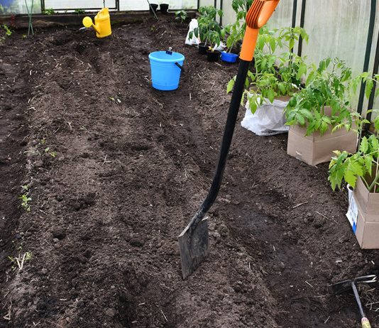 Как подготовить грунт в теплице к новому сезону весной.