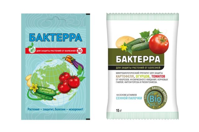 Биофунгицид Бактерра – это экологически чистое и крайне эффективное средство для борьбы со многими высокопатогенными болезнями растений. Биофунгицид Бактерра – это экологически чистое и крайне эффективное средство для борьбы со многими высокопатогенными болезнями растений.