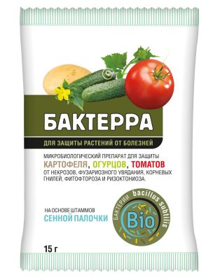 Прекрасно себя показывает Бактерра и в защите от болезней огурцов и томатов. Прекрасно себя показывает Бактерра и в защите от болезней огурцов и томатов.