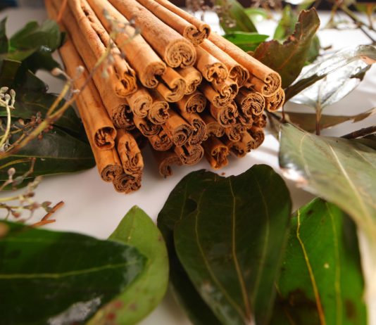 Как вырастить корицу в квартире и собрать урожай приправы.