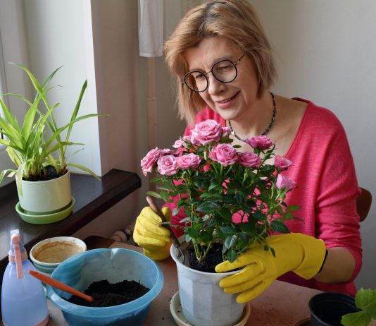 Капризные комнатные растения, которые сведут вас с ума.