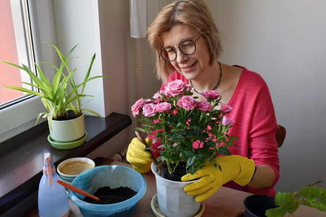 Капризные комнатные растения, которые сведут вас с ума.