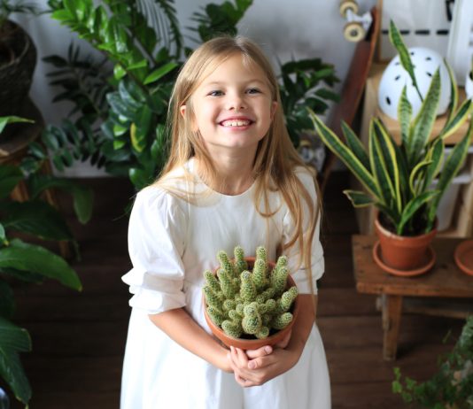 8 лучших растений для детской комнаты.