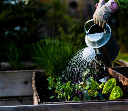 Эффективные микроорганизмы — простой способ сделать почву живой.