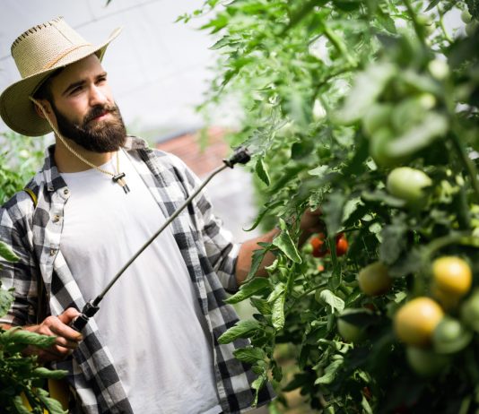 Можно ли защитить сад от вредителей одной обработкой — советы экспертов - Ягодник Можно ли защитить сад от вредителей одной обработкой — советы экспертов.