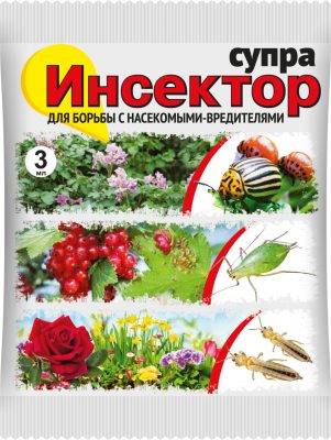 Для профилактических и искореняющих обработок от тли лучше всего подходит препарат «Инсектор Супра».