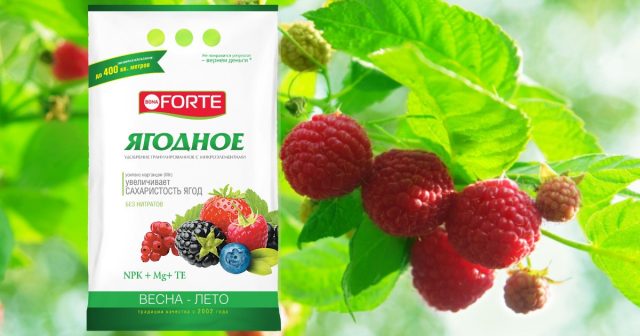 В комплексное удобрение Ягодное Bona Forte входят все макроэлементы, а также сера, магний и 6 микроэлементов в хелатной форме.
