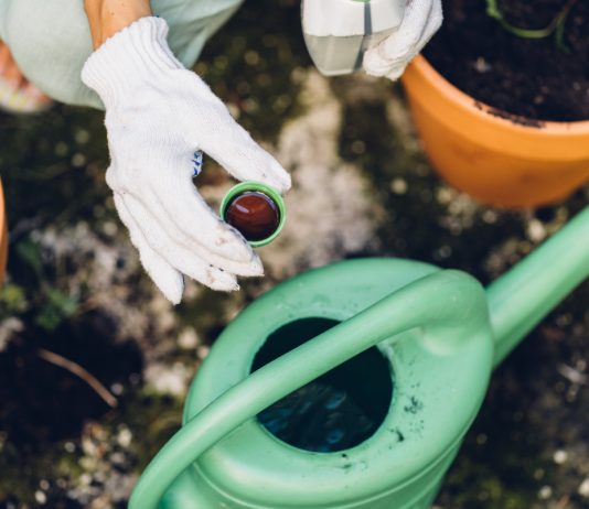 ЭМ-технологии: эффективные микроорганизмы в повседневной жизни - НПО «Биотехсоюз» ЭМ-технологии: эффективные микроорганизмы в повседневной жизни.