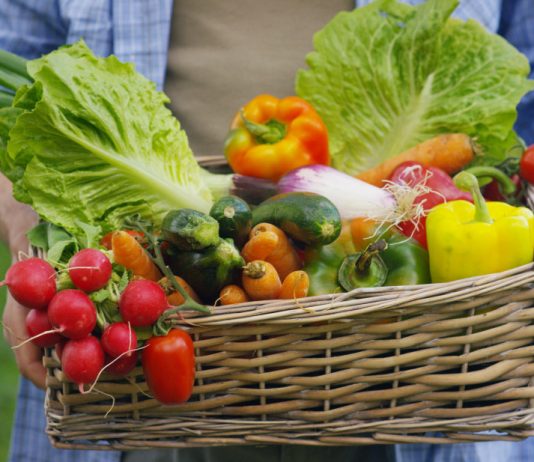 Как собрать больший урожай со своего огорода — надежные приемы.