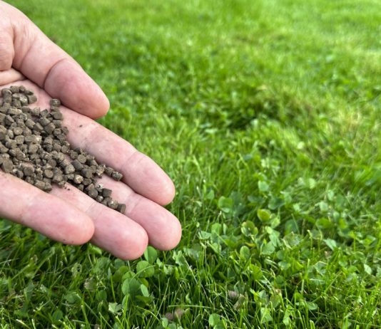 Правила ухода за газоном — как сохранить здоровую лужайку надолго - Цветник и ландшафт Правила ухода за газоном — как сохранить здоровую лужайку надолго.