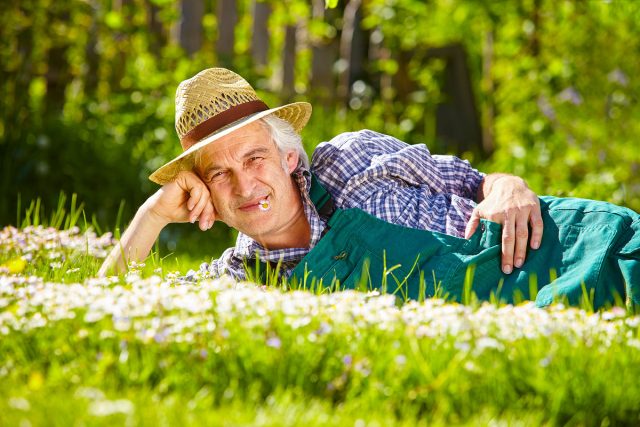 Мой результат: Садовый философ Мой результат: Садовый философ